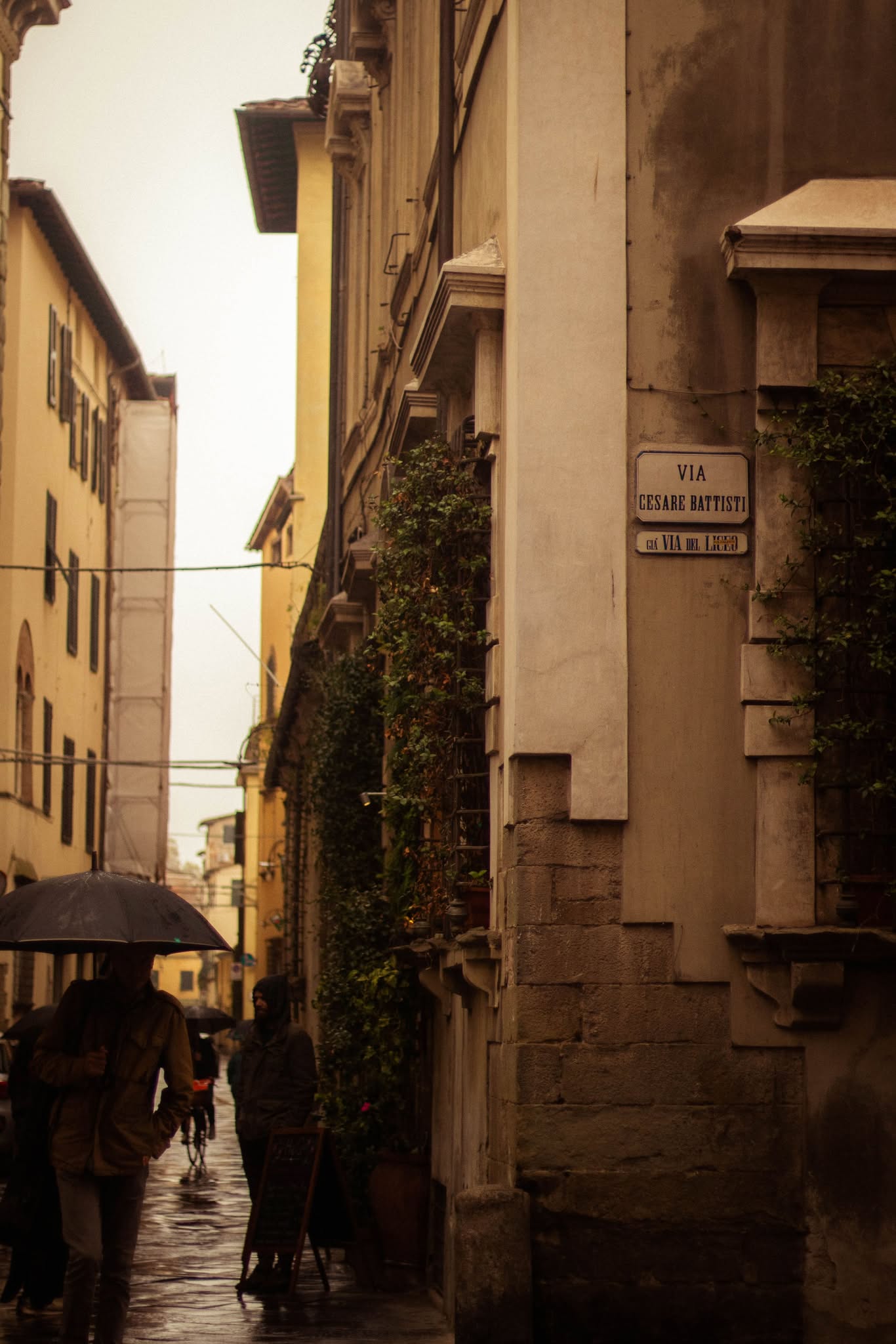 Charming alley in Lucca