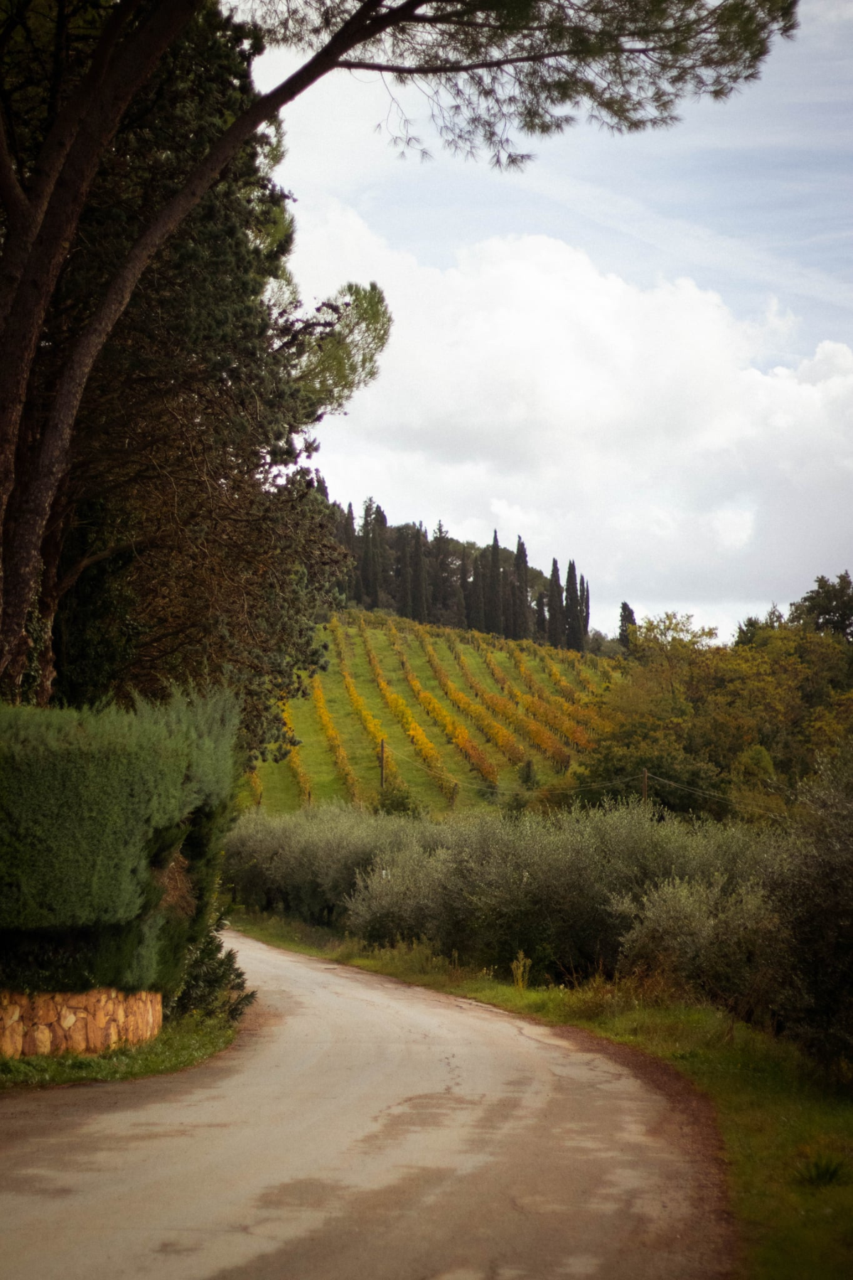 Scenic countryside roads in Tuscany near San Gimignano